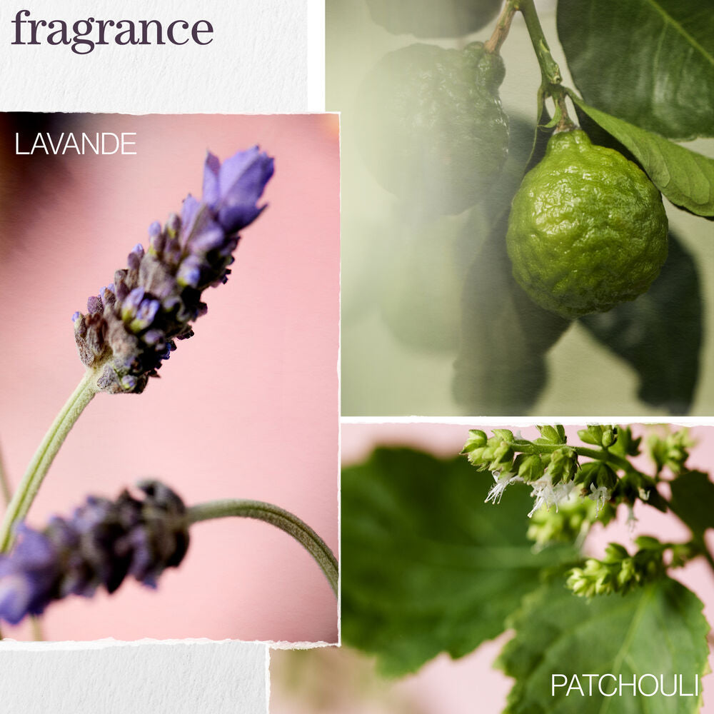 Hydrate | Huile glow catcher