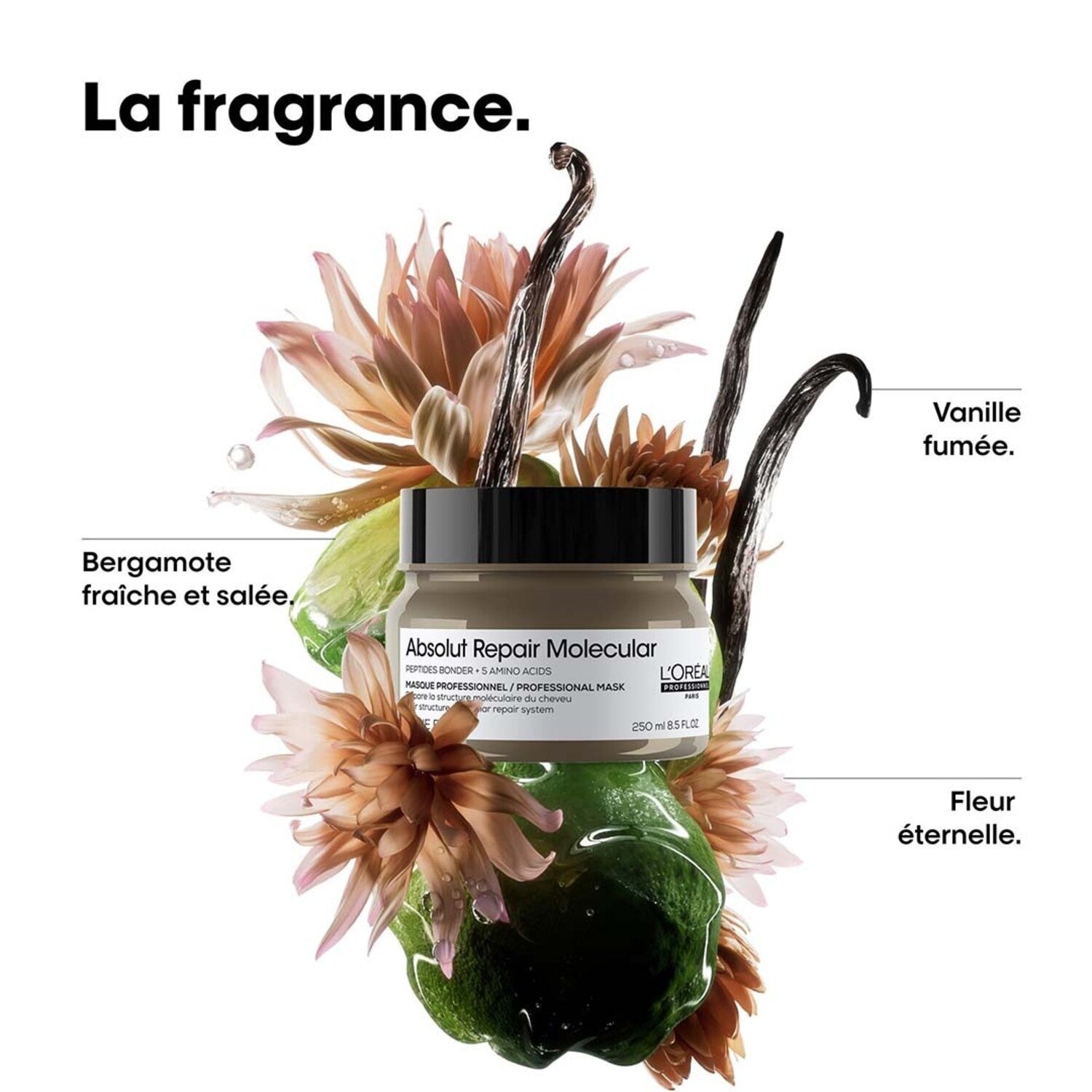 Absolut Repair Molecular | Masque