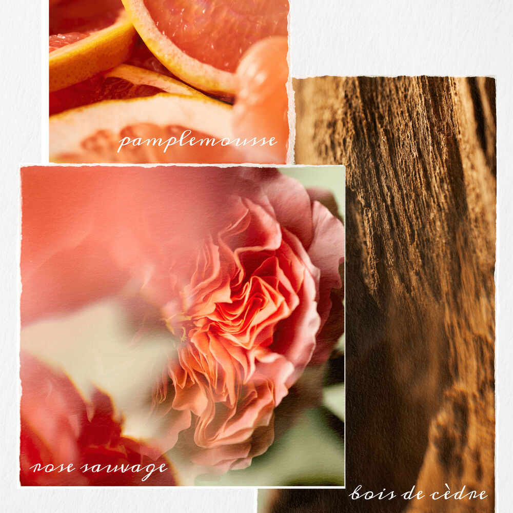 Pure volume | Revitalisant 1L