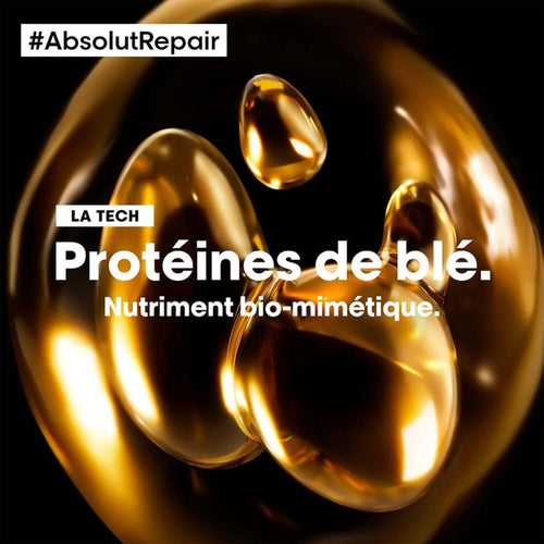 Absolut Repair | Huile