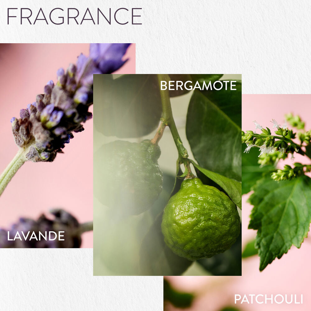 Hydrate | Masque